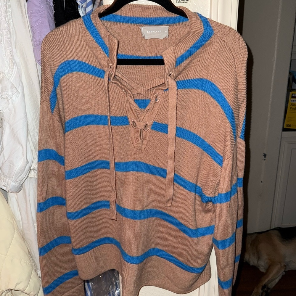 Everlane Brown and Blue V-Neck Sweater